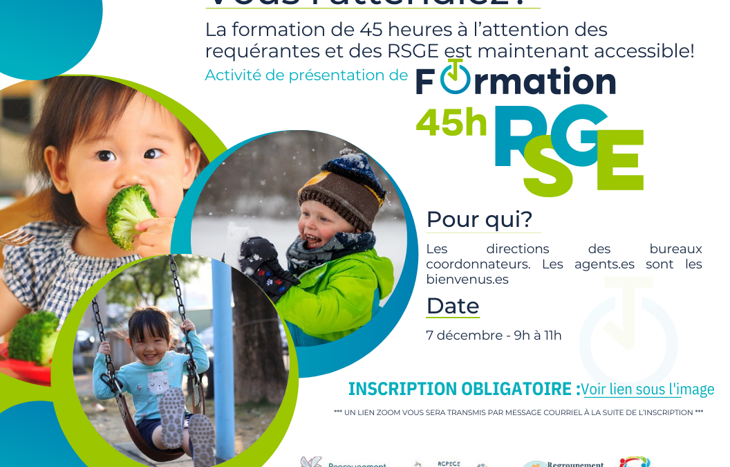Formation 45 heures RSGE